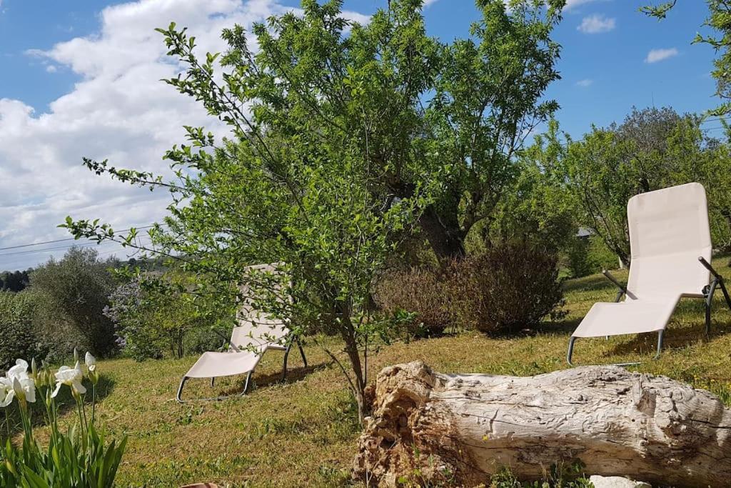 Podere Del Gelso Bianco, Vacation Rental Ostuni Εξωτερικό φωτογραφία