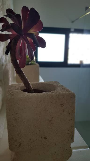 Podere Del Gelso Bianco, Vacation Rental Ostuni Εξωτερικό φωτογραφία